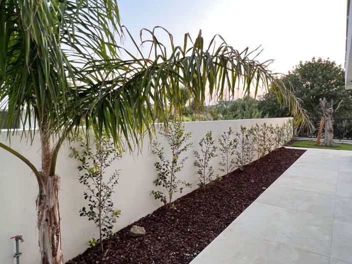 Image No.99-Property for sale