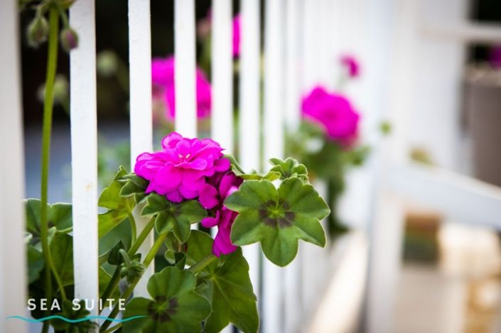 Image No.5-Property for sale