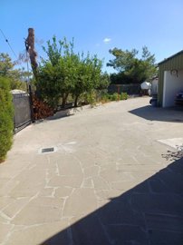 full66ea63865bd4c1726636934