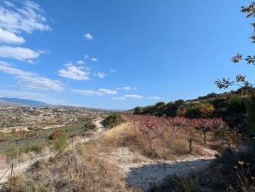 full673dfa1a1245b1732114970