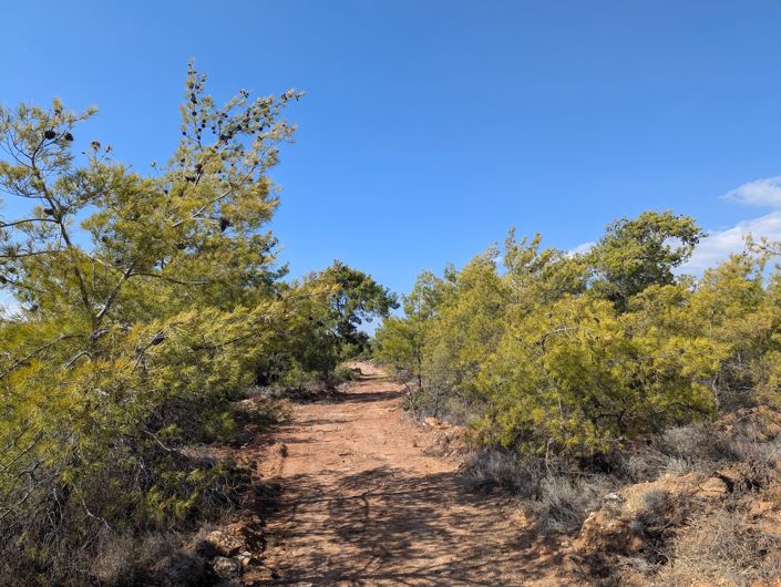 Image No.4-Propriété à vendre à Chypre