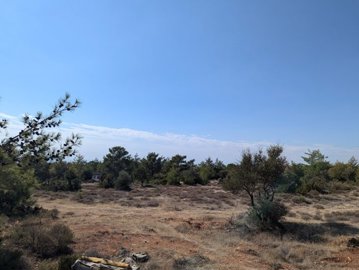 full673dfe8e7bee91732116110