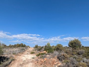 full673dfe977e17c1732116119