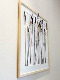 full67f8b0274e0921744351271