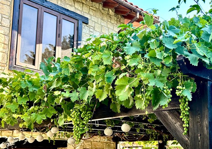 Image No.23-Property for sale