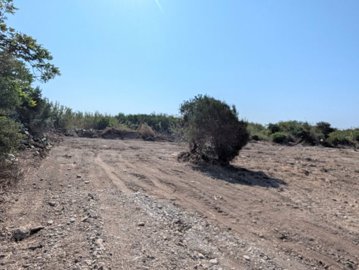 full689b1651686741754994257