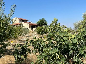 full68ca4271c82651758085745