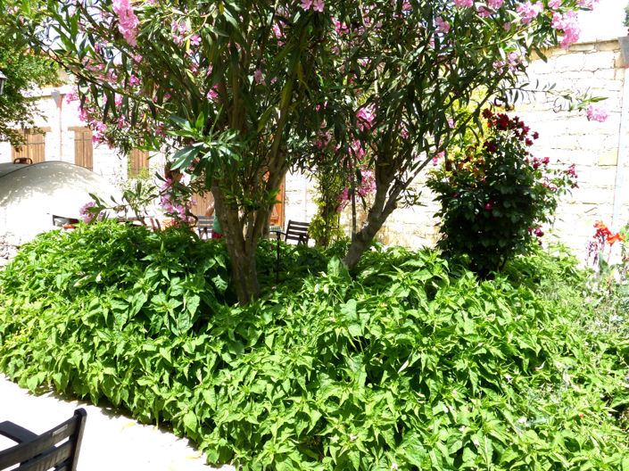 Image No.27-Property for sale