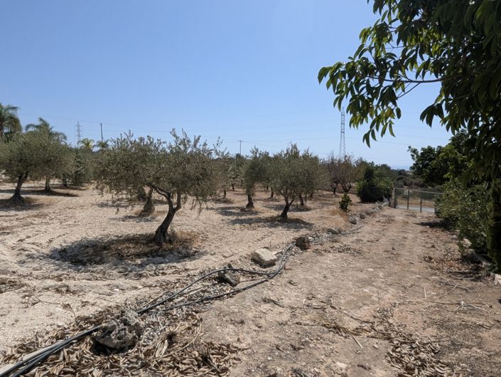 Image No.42-Property for sale