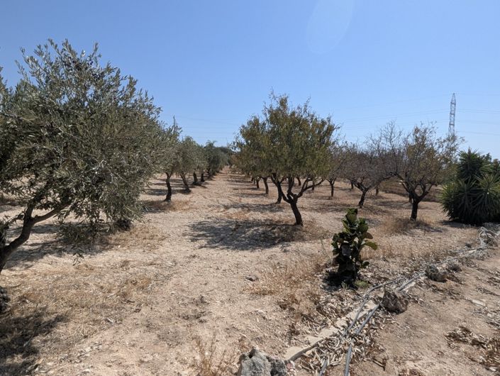 Image No.43-Property for sale