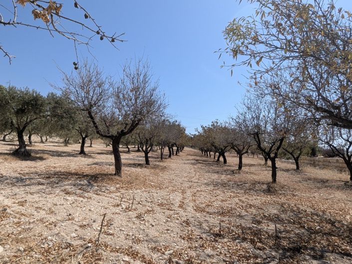 Image No.48-Property for sale