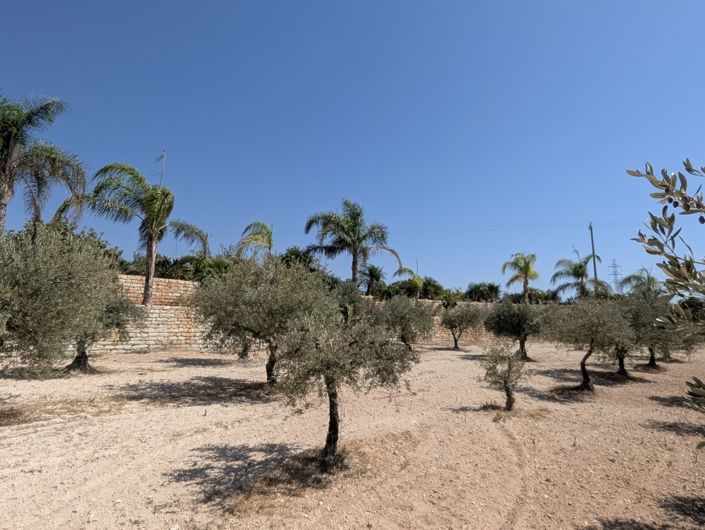 Image No.49-Property for sale