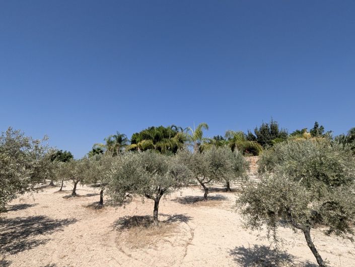 Image No.50-Property for sale