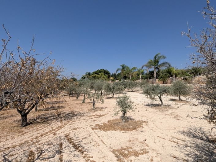 Image No.52-Property for sale