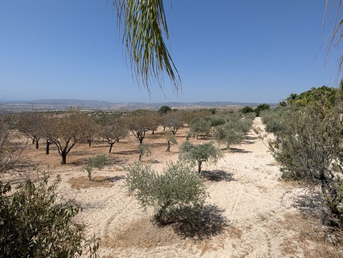 Image No.60-Property for sale