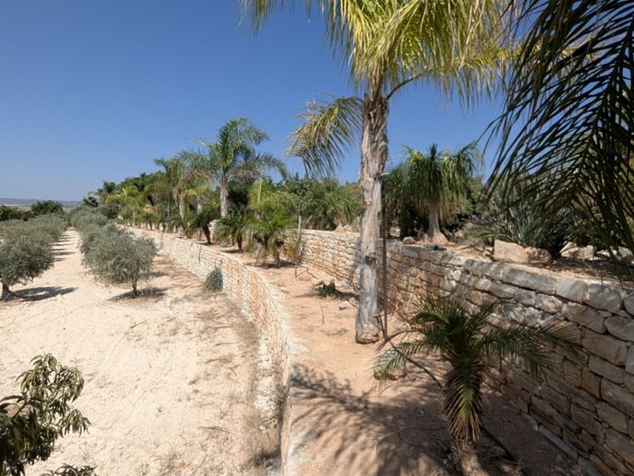 Image No.61-Property for sale