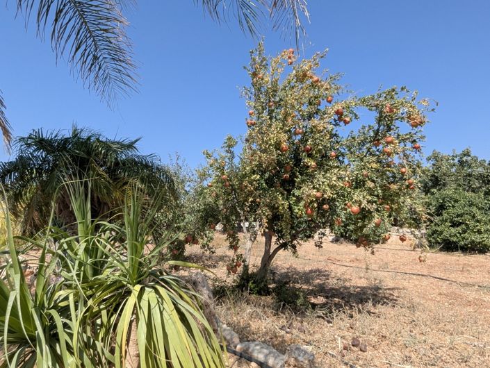 Image No.63-Property for sale