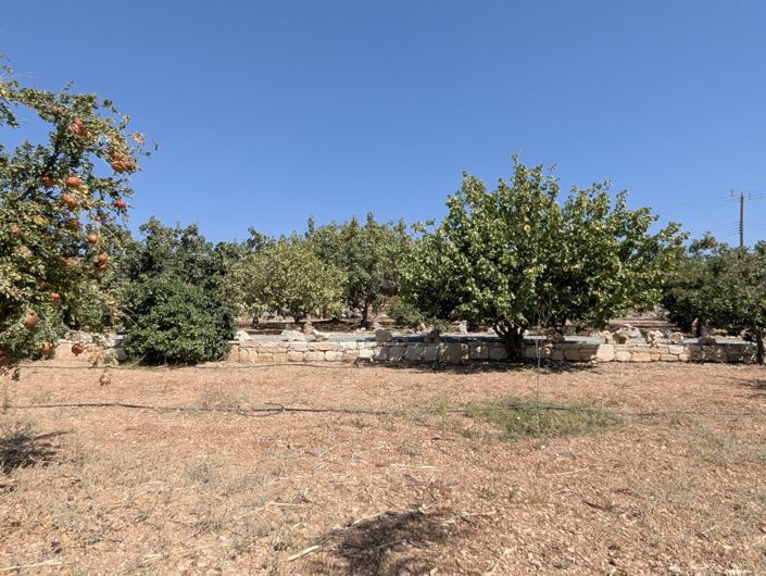 Image No.64-Property for sale