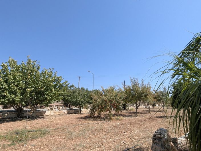 Image No.65-Property for sale