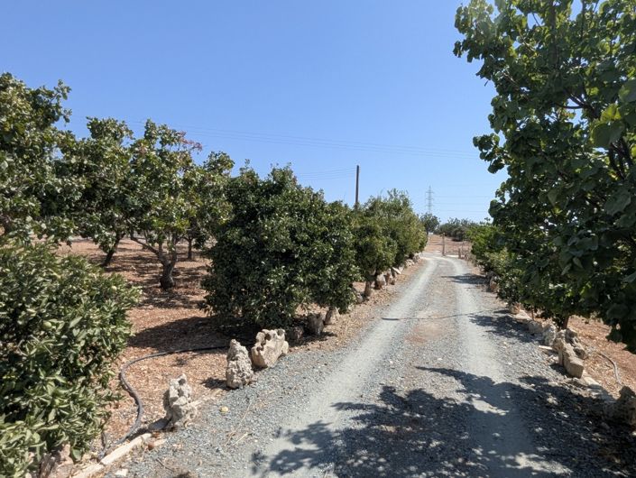 Image No.69-Property for sale