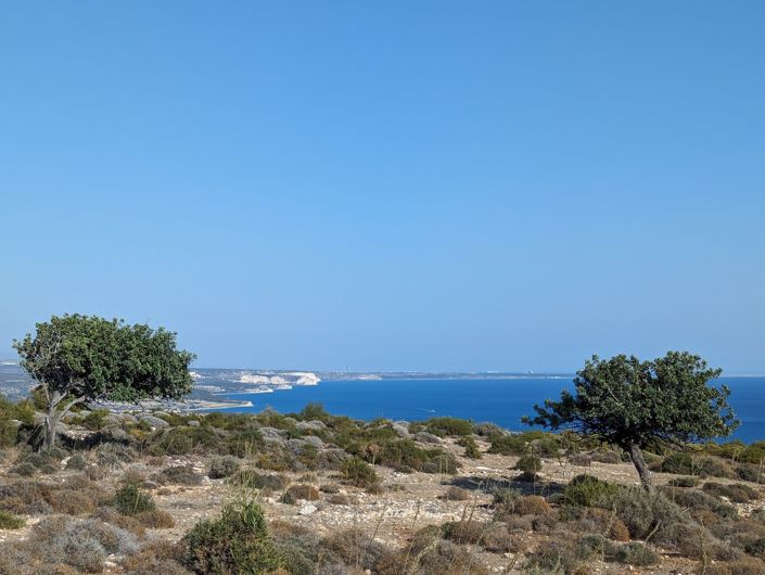 Image No.8-Property for sale