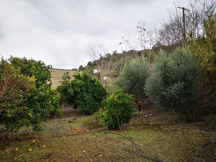 Image No.3-Property for sale