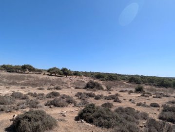 full68e7c38f51bac1760019343