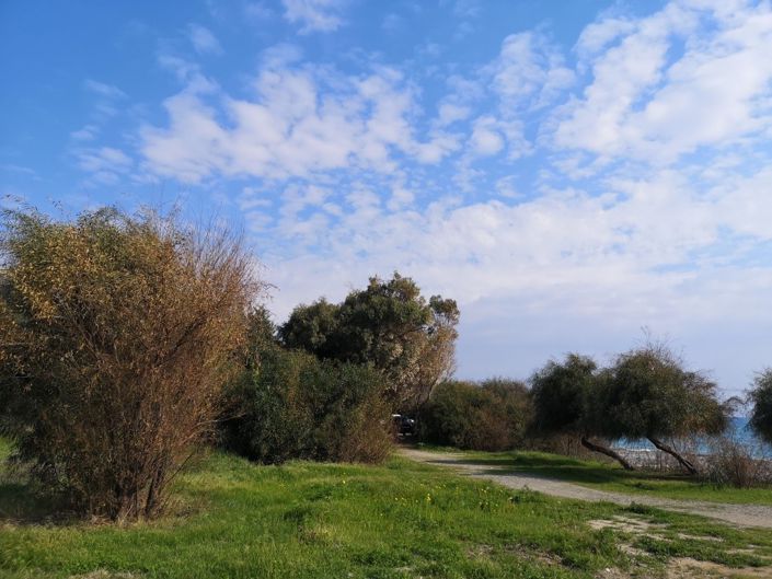 Image No.4-Property for sale