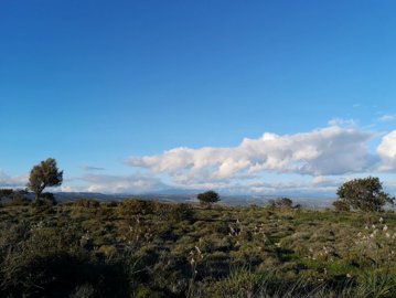 full5c94b61d482621553249821