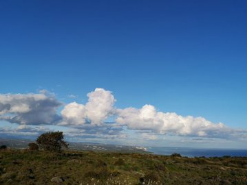 full5c94b61eaf9cd1553249822