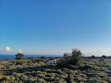 full5c94b623ae7f11553249827