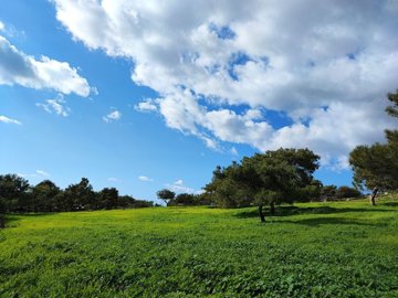 full6440e1bf73b221681973695