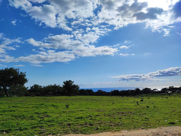 Image No.3-Propriété à vendre à Pissouri
