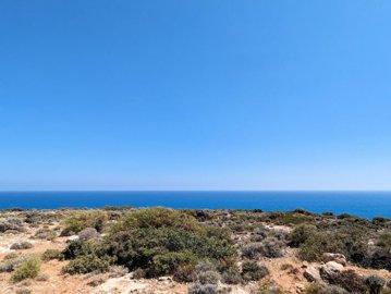 full64a599c4395c91688574404