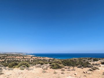 full64a599cc2a8731688574412