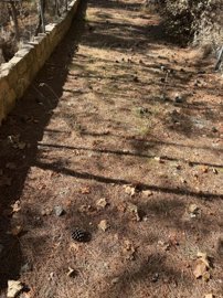 full6913838ea74ff1762886542