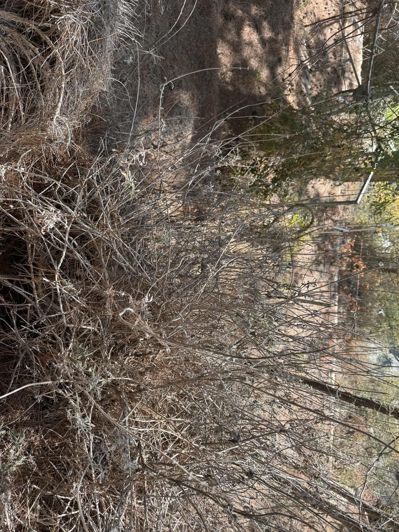 Image No.19-5 Bed Property for sale