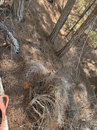 Image No.6-5 Bed Property for sale