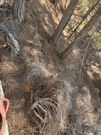 full69138386855ee1762886534