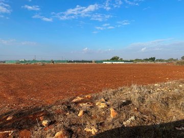 full69300150d923c1764753744