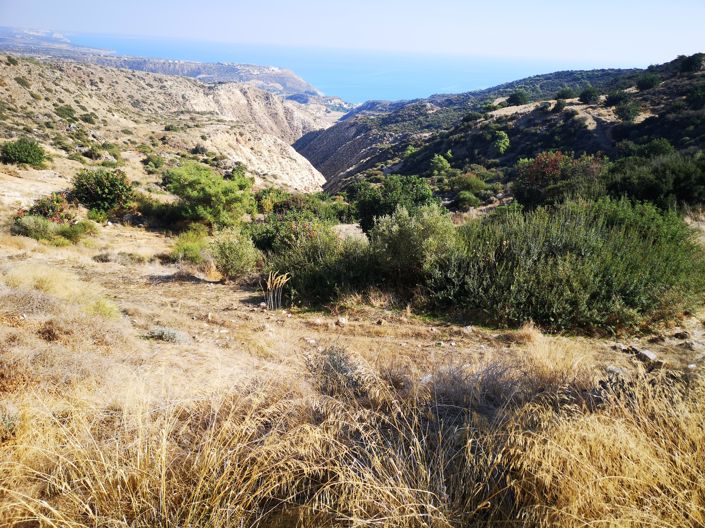 Image No.5-Propriété à vendre à Pissouri