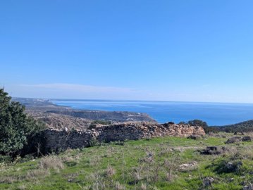 full6942896c28f081765968236