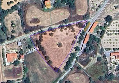 full6985775139c261770354513