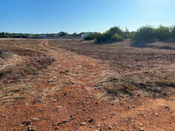 full65045c1680b801694784534