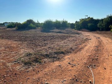 full65045c16ec4871694784534