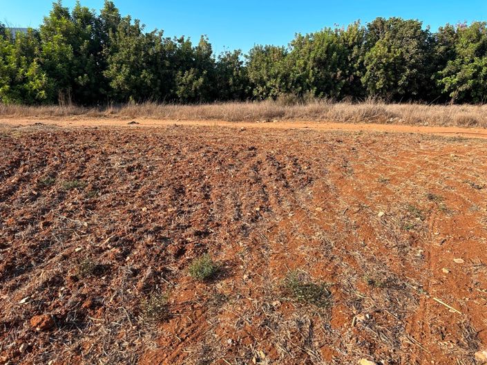 Image No.4-Property for sale