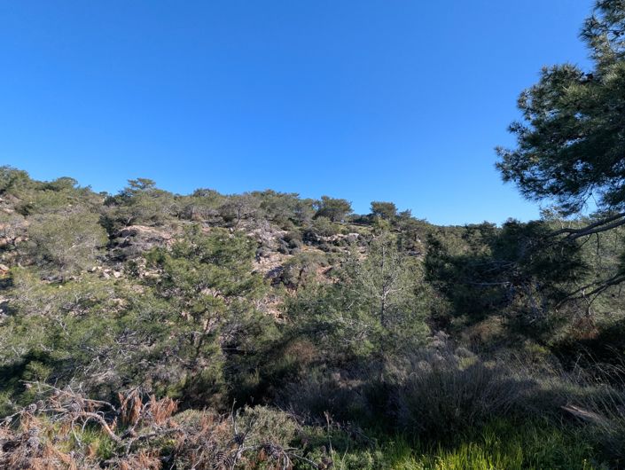 Image No.8-Property for sale