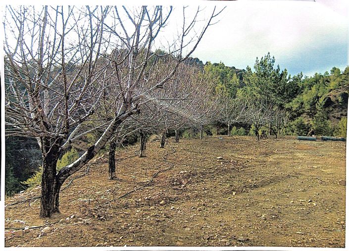 Image No.14-Property for sale