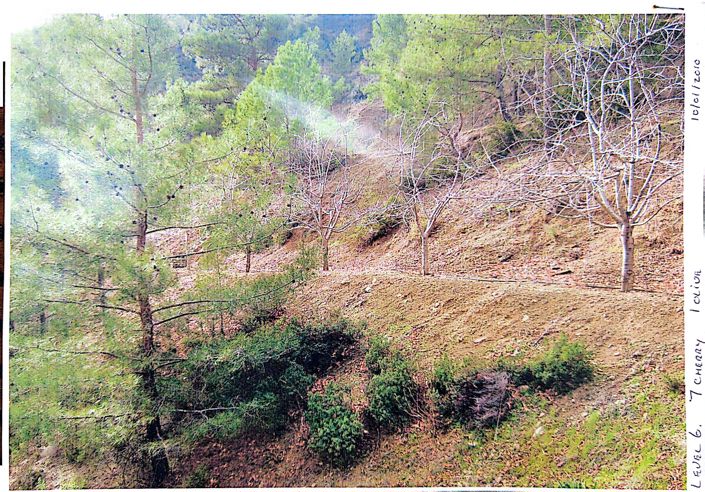 Image No.2-Property for sale