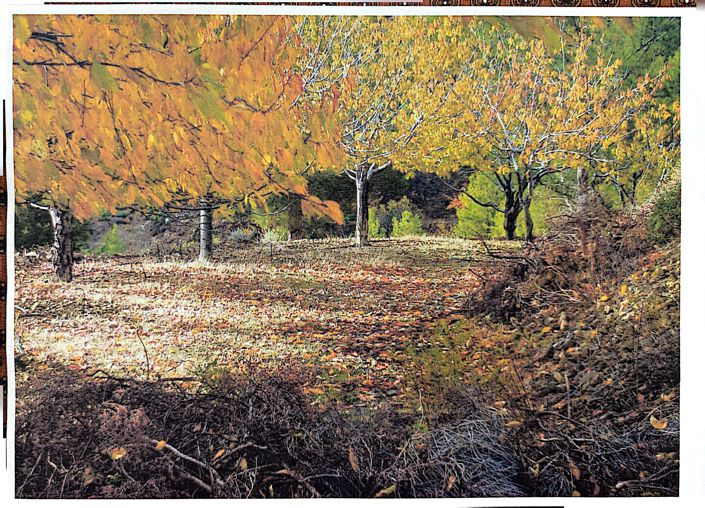 Image No.22-Property for sale
